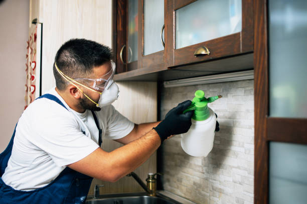 Best Spider Control Near Me  in Oakridge, OR