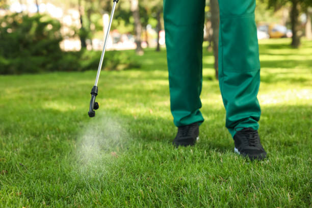 Wildlife Control Services in Oakridge, OR
