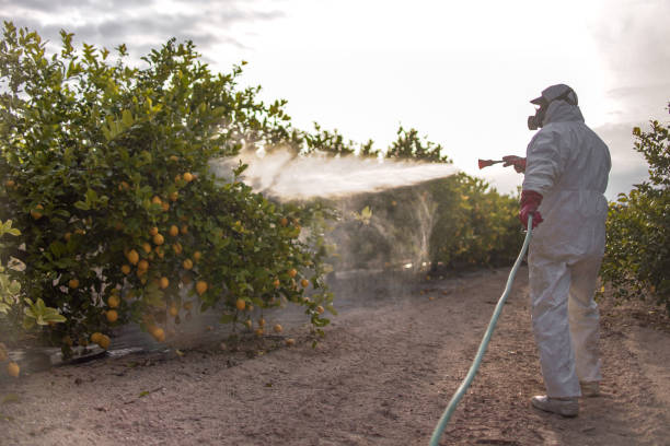 Professional Pest Control in Oakridge, OR