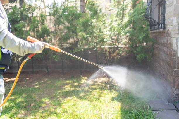 Best Affordable Pest Control Services  in Oakridge, OR