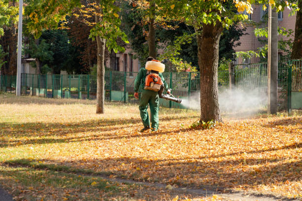 Best Best Pest Control Companies  in Oakridge, OR