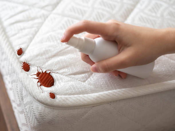 Best Affordable Pest Control Services  in Oakridge, OR