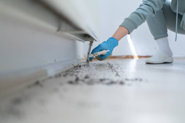 Best Affordable Pest Control Services  in Oakridge, OR
